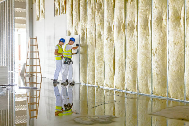 Best Insulation Installation Services in Elma, WA